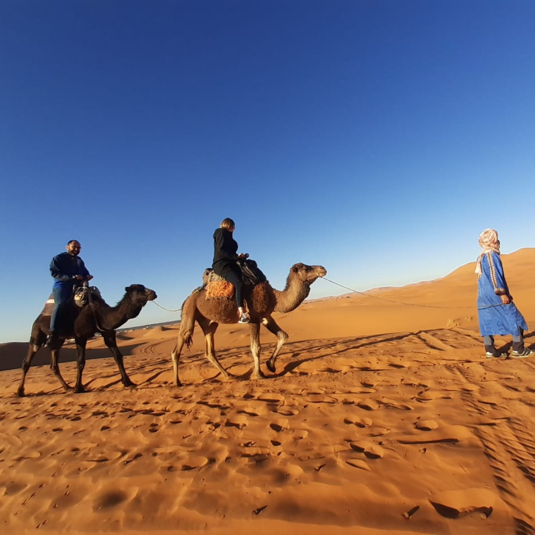 Camel Ride and Luxury Camp - Experience the Sahara in comfort