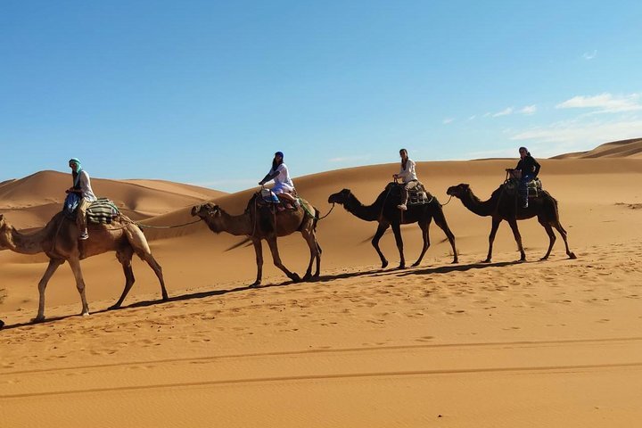 Morocco Camel Tours
