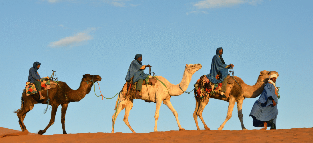 Morocco Camel Tours