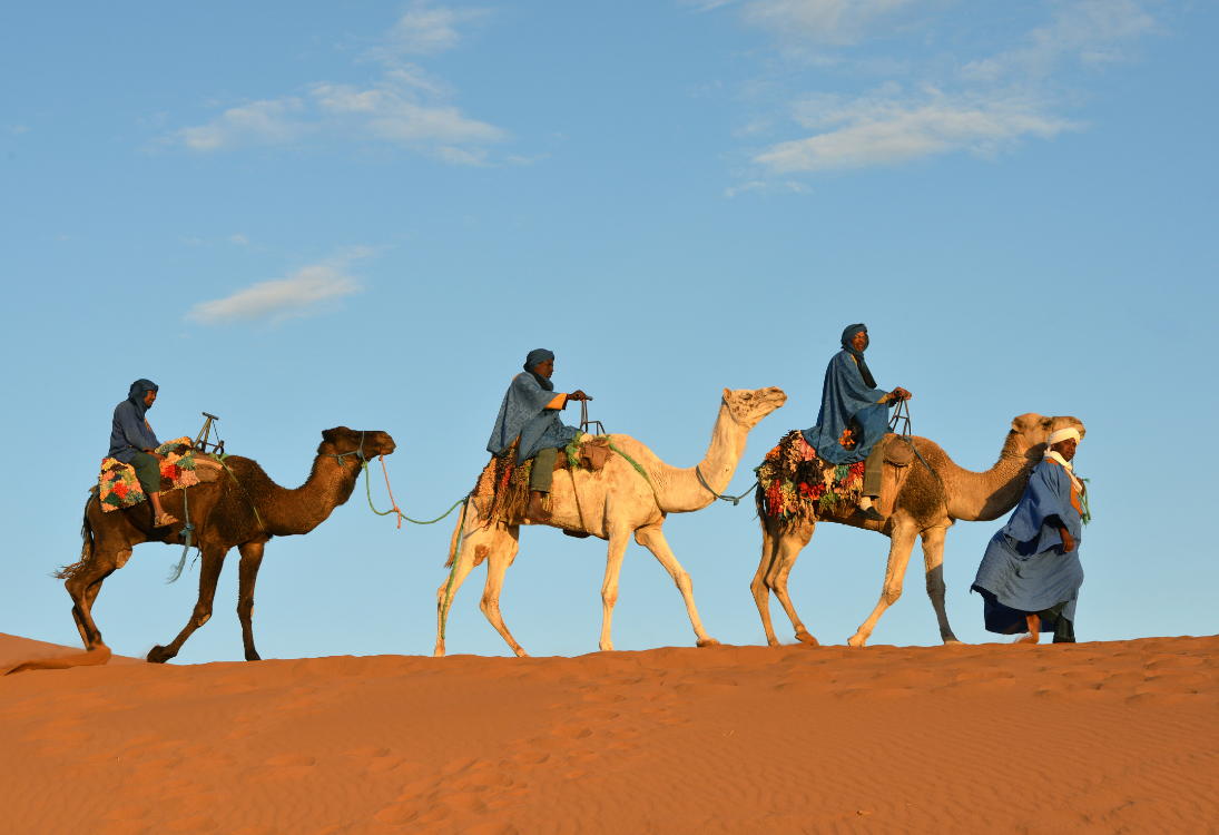 Morocco Camel Tours