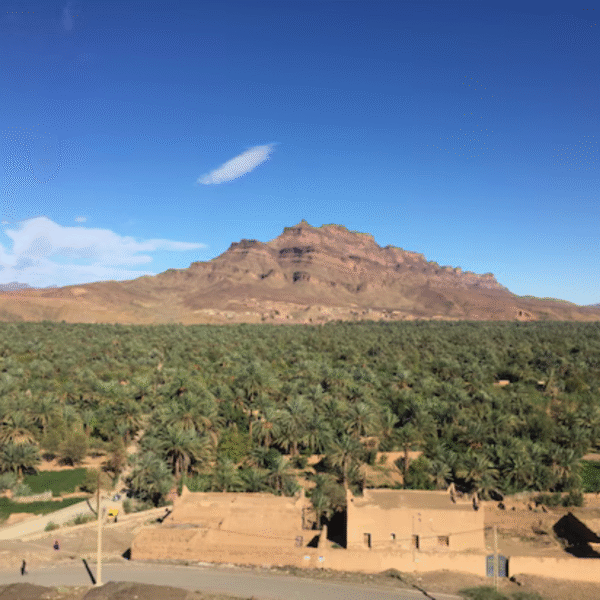 3 days tour from Marrakech to Fes