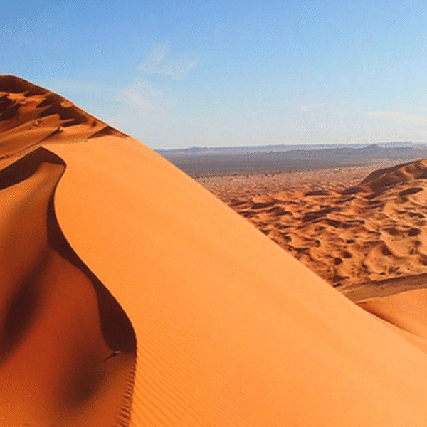 2 days Desert trip from Meknes