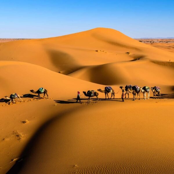 How to get to Merzouga Desert?