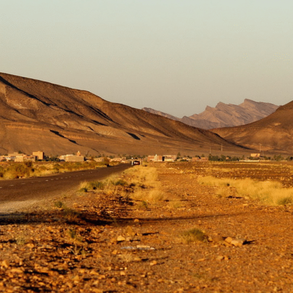 Bet Moroccan Tours 2025 10 10T132620.662