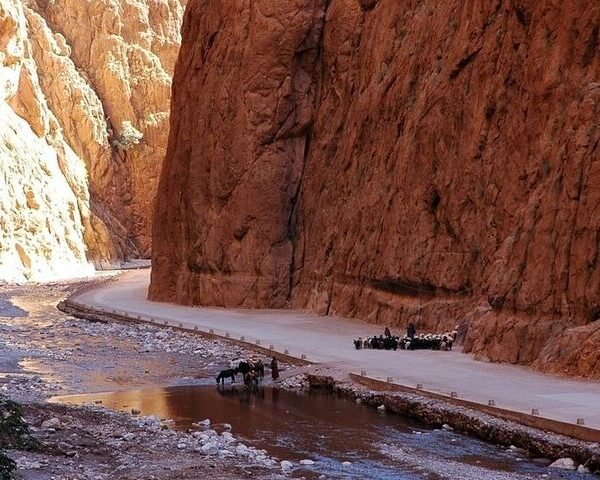 Best 10 days desert tour from Casablanca